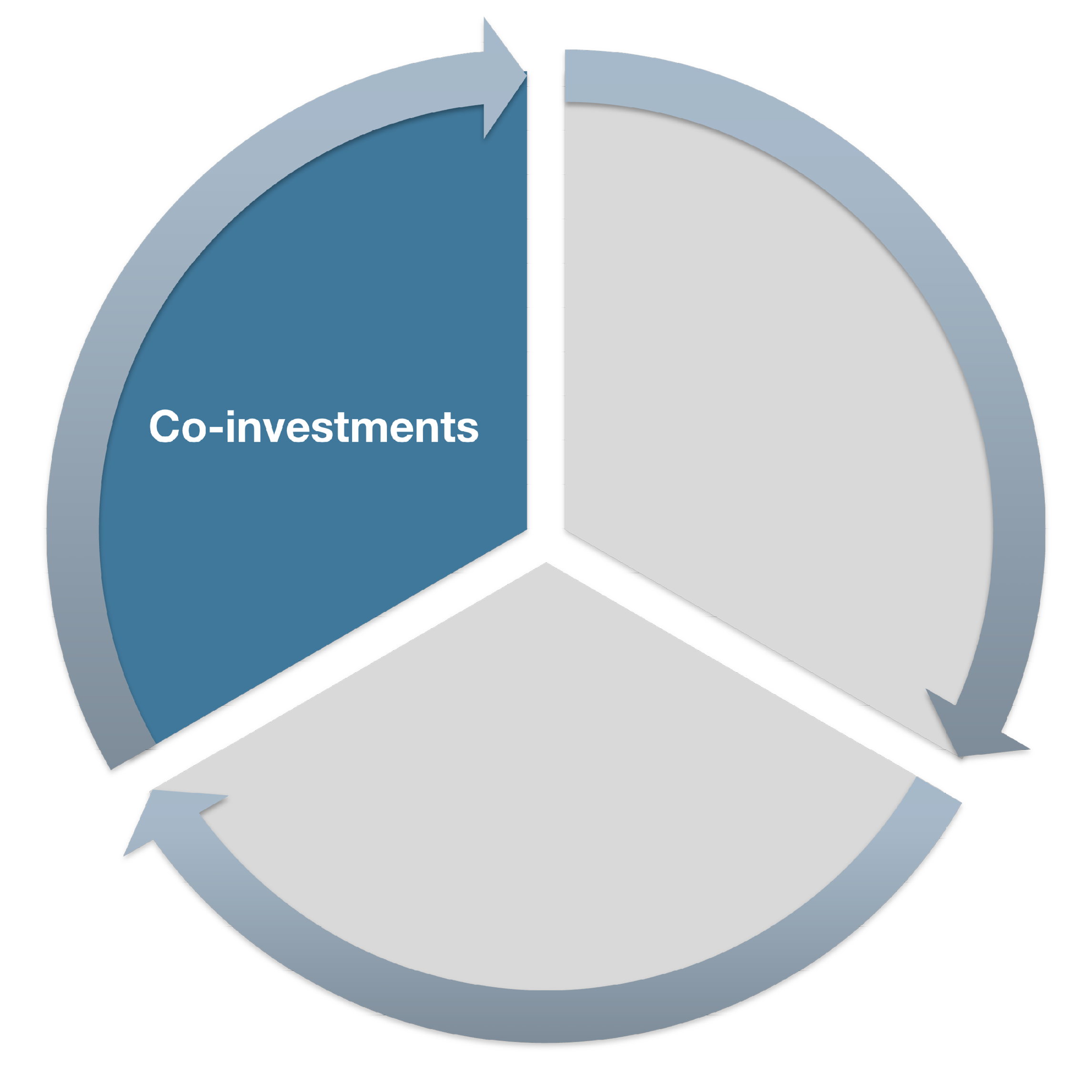 co-investments-en_cropped